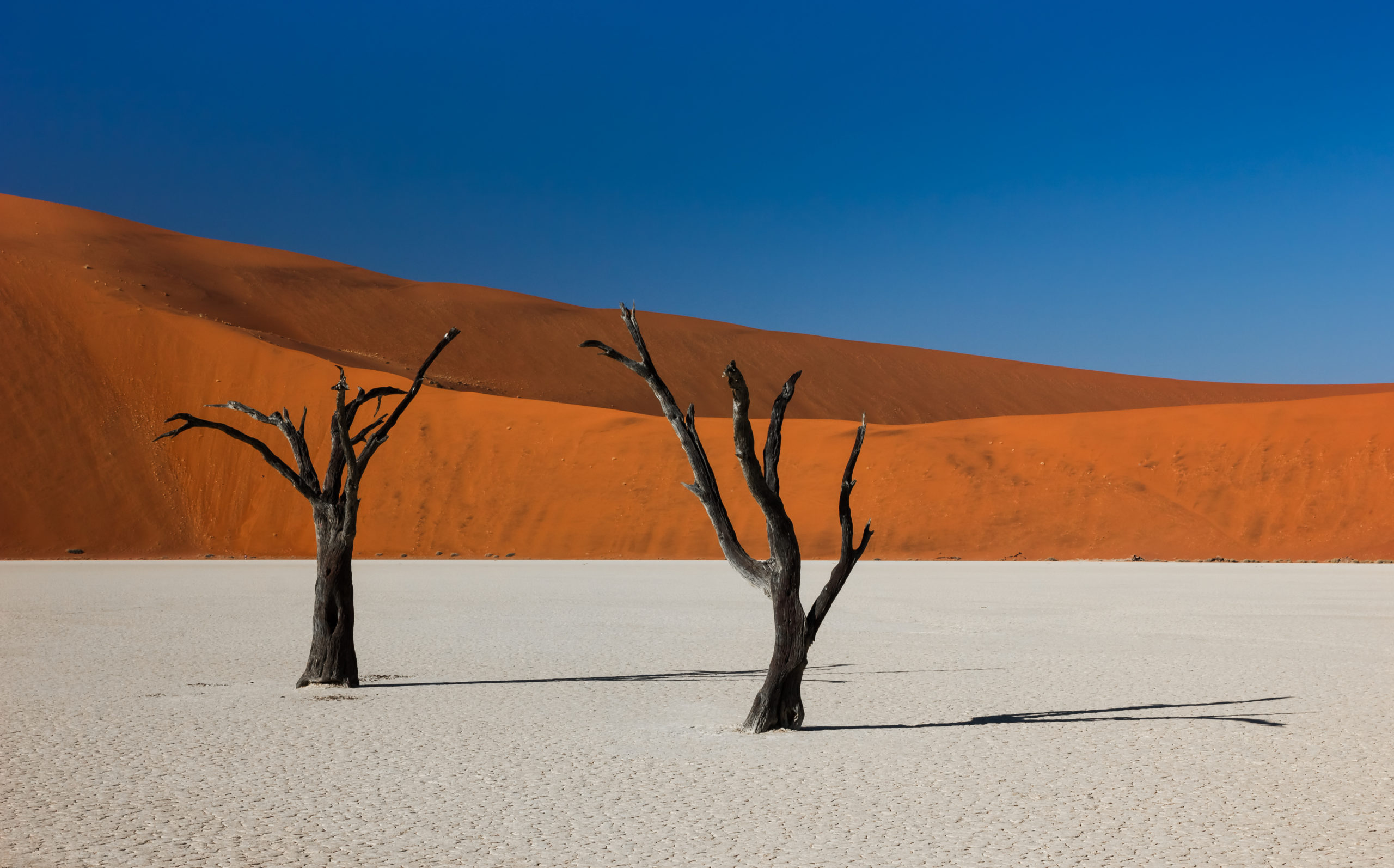 Essentiels de Namibie 12J/9N