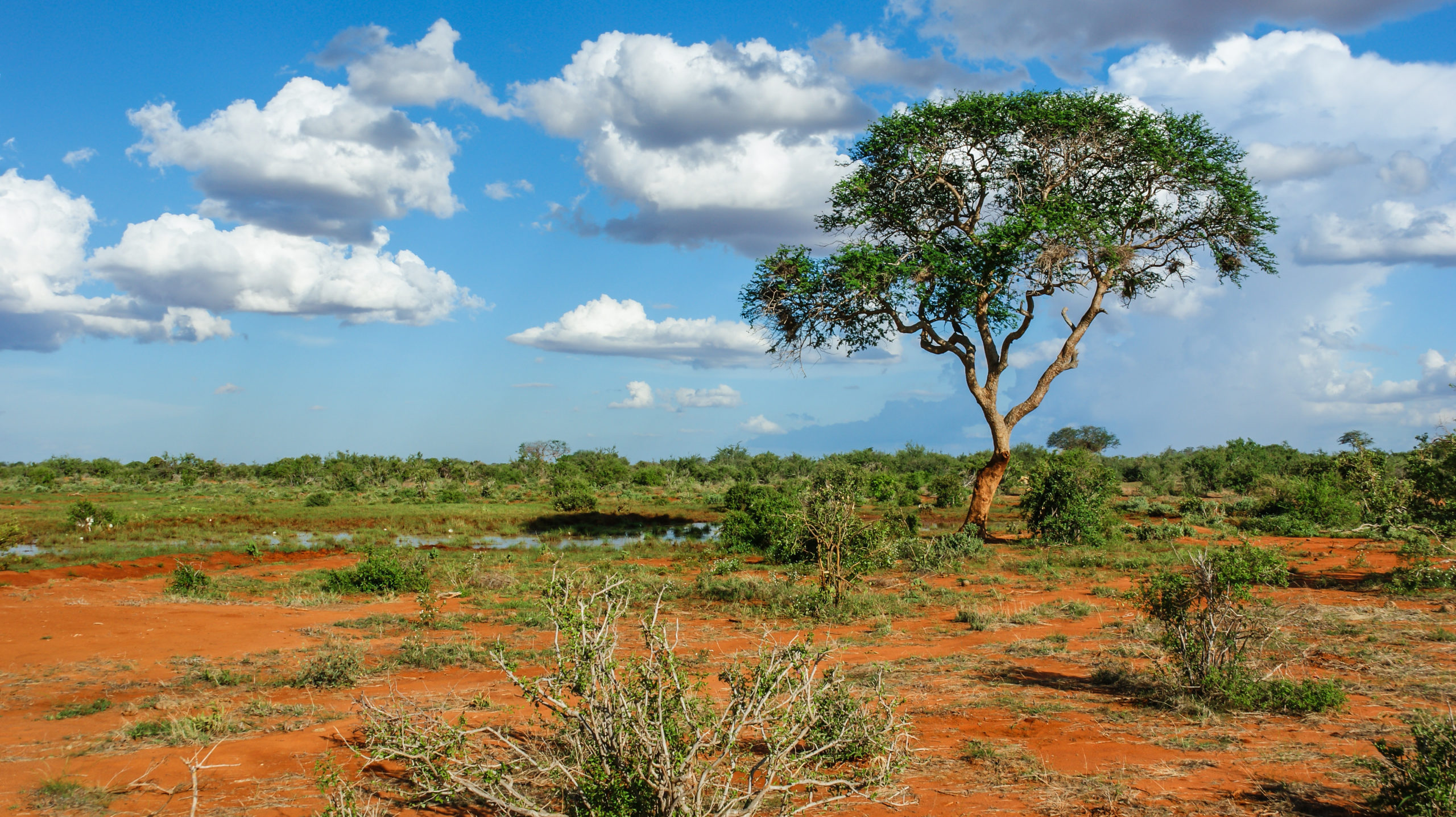 Trésors du Kenya 10J/7N
