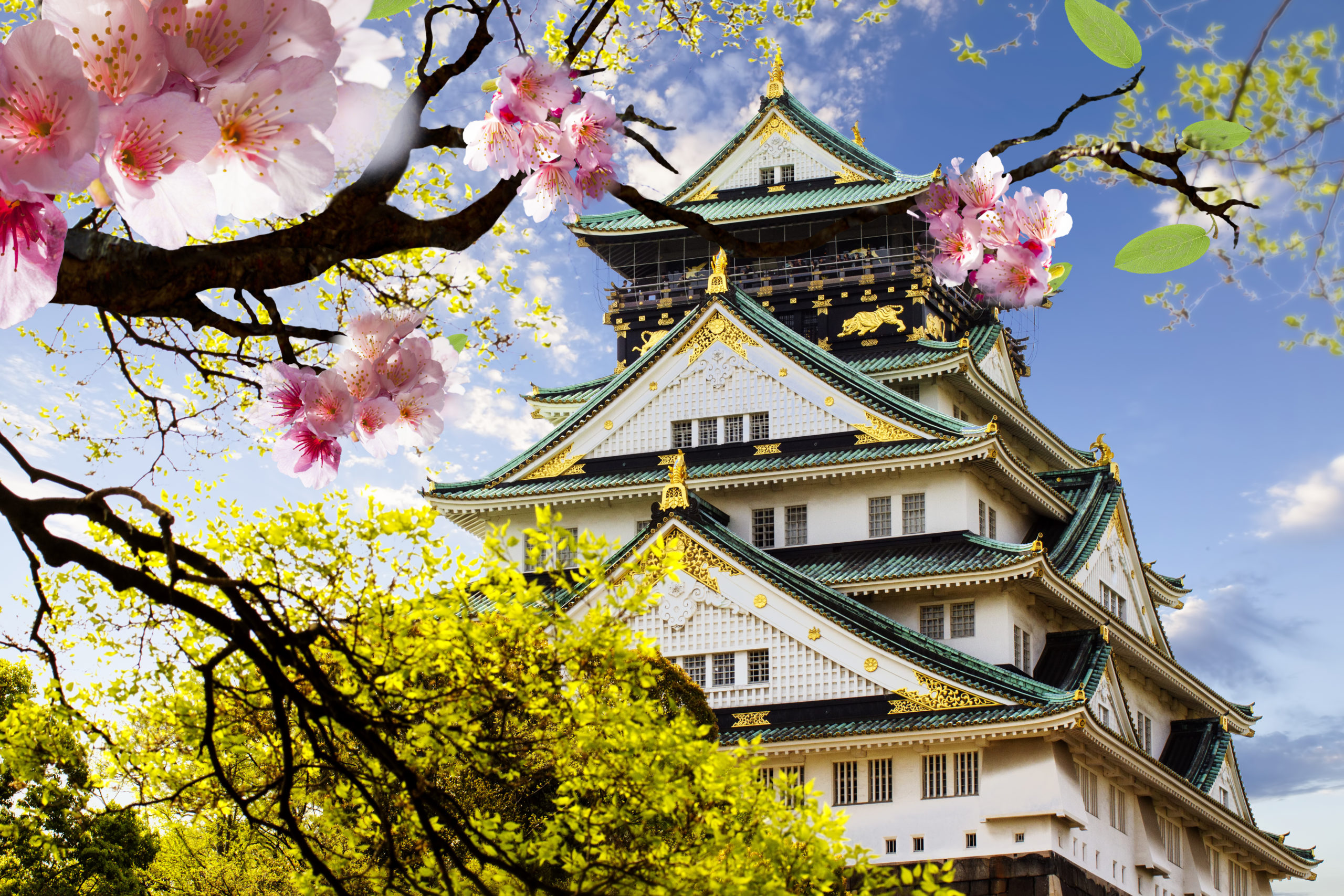 L’Essentiel du Japon 10J/7N