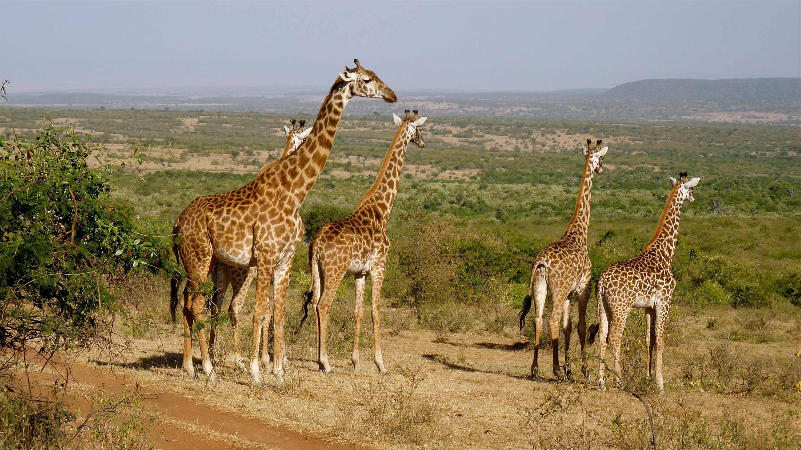 Trésors du Kenya 10J/7N