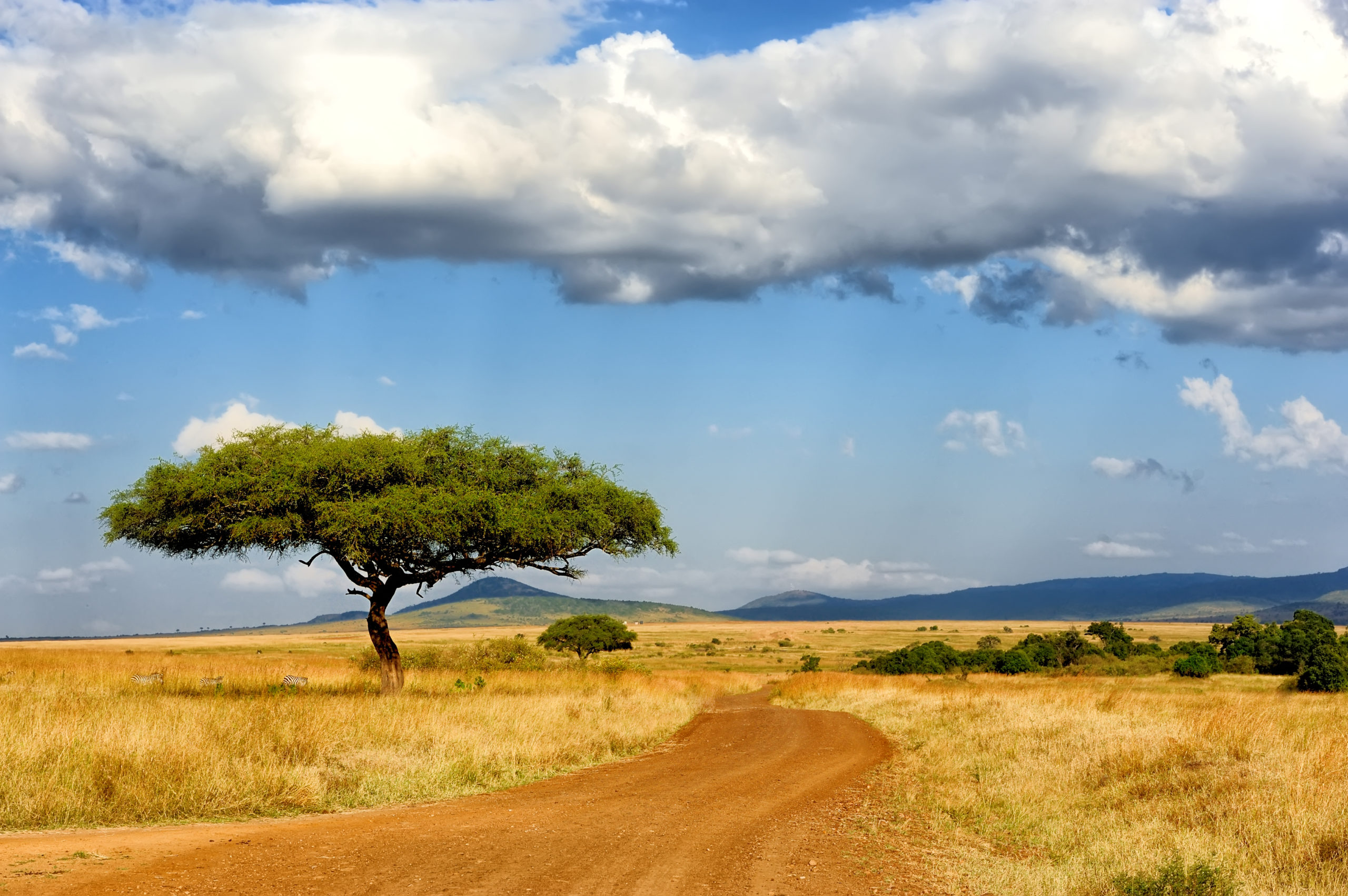 Secrets de Tanzanie 9J/6N