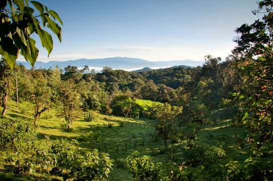 Trésors de l’Equateur 12J/10N