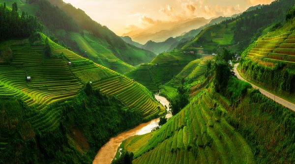 SENIORS FINANCES 44 – VIETNAM – 122512