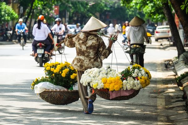 GRP EKOYA – VIETNAM – 132843