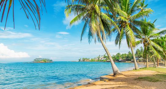 Au cœur du Sri Lanka 12J/9N