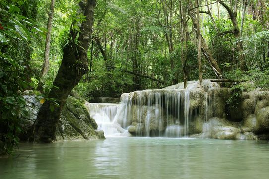 Regards de Bangkok à Khao Lak 10J/7N