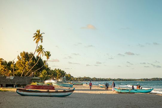 Trésors du Sri Lanka 12J/10N