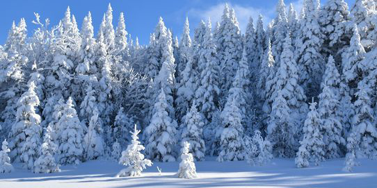 Blanc Infini au Canada 8J/6N