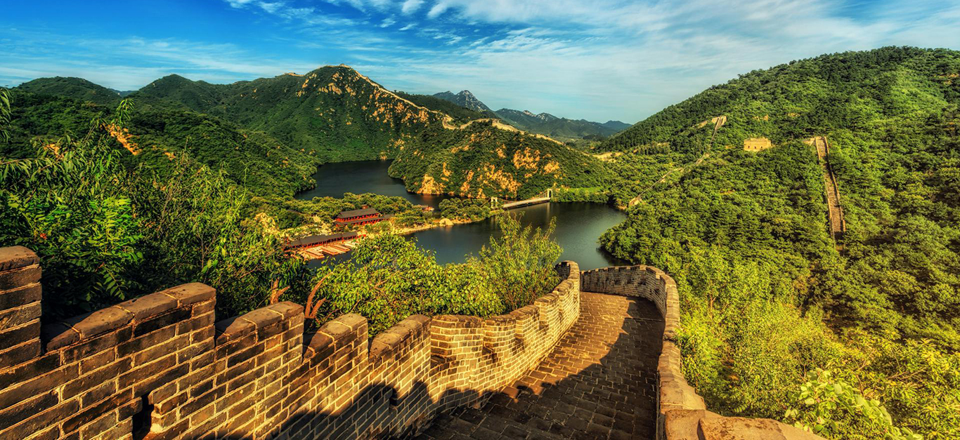 Le coup de coeur du mois