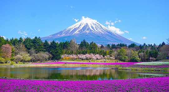 Regards du Japon 11J/8N