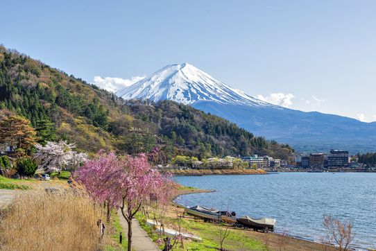 Regards du Japon 11J/8N