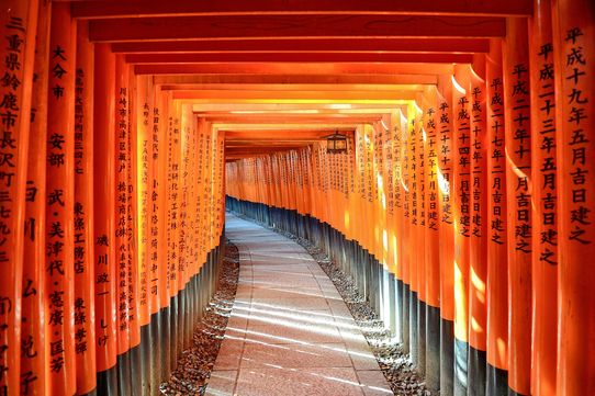 L&rsquo;Odyssée du Japon14J/11N