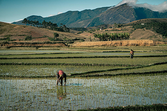 Trésors de Madagascar 12J/10N