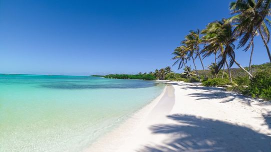 Trésors du Yucatan 12J/10N