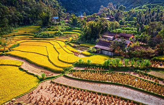 Vietnam Insolite 12J/9N