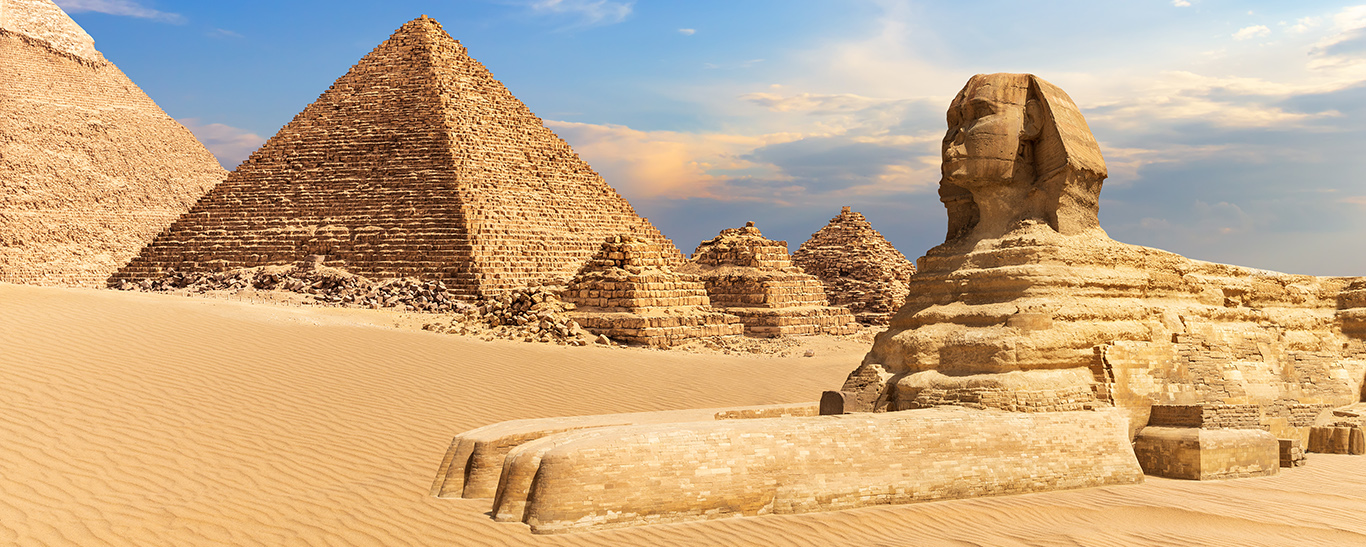 Le coup de coeur du mois